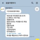 꿈을여행하다