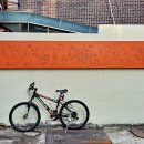 새장터어린이공원 이미지