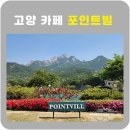 포인트빌 | 고양 북한산뷰 카페 포인트빌 철쭉 후기 지금 가야 하는 꽃카페