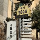 웰니스 트레이닝 스튜디오 | 오붓 웰니스 패스 약수 요가원 해방요가 빈야사 수업 후기