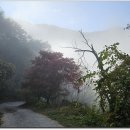 청량산(장인봉) 연적봉 탁필봉 자소봉 두리봉 축융봉 이미지