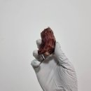 202펫푸드 이미지