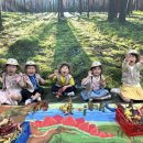 노란풍차유치원 이미지