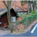 대운산자연휴양림 이미지