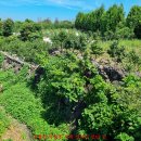 고성리-15 이미지