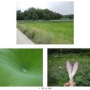 사)경기도장애인정보화협회 군포시지회 | 문화예술교육 Co-끼리 탐방기 <(사)경기도장애인정보화협회 군포시지회 - 행복 스토리 미디어에 담다> 1탄