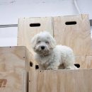 크로스핏 지케이 이미지