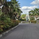 제주29애월풀빌라B | 제주 애월 가성비 풀빌라 감성 숙소 독채 펜션 신성의 숲