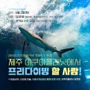 제주필투어 | 제주 아쿠아플라넷 프리다이빙 투어 체험 시간 수중촬영