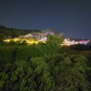 경산아지매 이미지