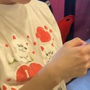 캣리포니아 이미지