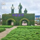 2024 함평 국화축제 대한민국 국향대전 기본정보 및 입장료 첫날 다녀온 후기