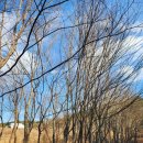 느티농원 이미지