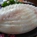 썰어활어회구이 이미지