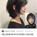 도봉로82길 | 수유역 미용실 에이바헤어에서 레이어드컷 파마한 후기