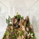 상남동184 | 창원 상남동 내동 취미 원데이클래스 대형 테라리움