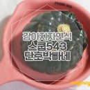 스쿱543 | 강아지자연식 @ 스쿱543 (SCOOP543)단호박빠네 , 기호성 대박이야