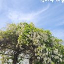 이장우농장 이미지