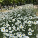 서울숲5 이미지