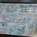 고양이카페 이미지