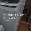 진솔세탁 이미지