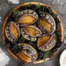 (주)포레스트그룹코리아 이미지