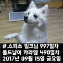행복한밤 이미지