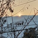 수성생활체육공원 이미지