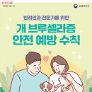 사람도 옮을 수 있어요! 반려인이 알아야 할 '개 브루셀라 이미지