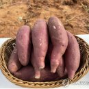 종순유통