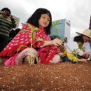 한강가족농장 이미지