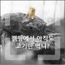 오만가지수산 이미지