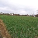 신평리마을회관 이미지