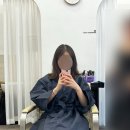 펠로살롱 이미지