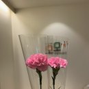 모모샘 이미지