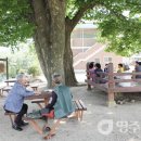 신기(새터) 이미지