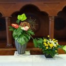 성현동-26 이미지