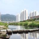 북구 디지털도서관(부산 만덕) 네이버블로그