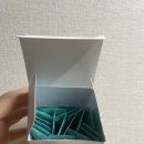 (아이디얼핏 브로멜라인/여우야) 후기