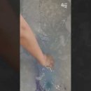 바스멍 이미지