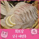 회뜨남 이미지