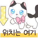 지나에리카 이미지