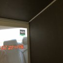 펫뜨락 | 7월 주간 일기 01