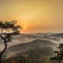 피디아트