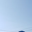 청아 축산물 직판장 식당 이미지