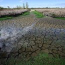 Canicule : plus de 800 morts « en excès » en France entre le 27 juillet et 이미지