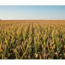 옥과농협 APC 이미지