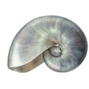 오앤드프 호텔 이미지