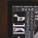 다봄 동물병원 이미지