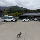 경북 고령 애견동반 캠핑장 The360 캠핑장 A사이트후기